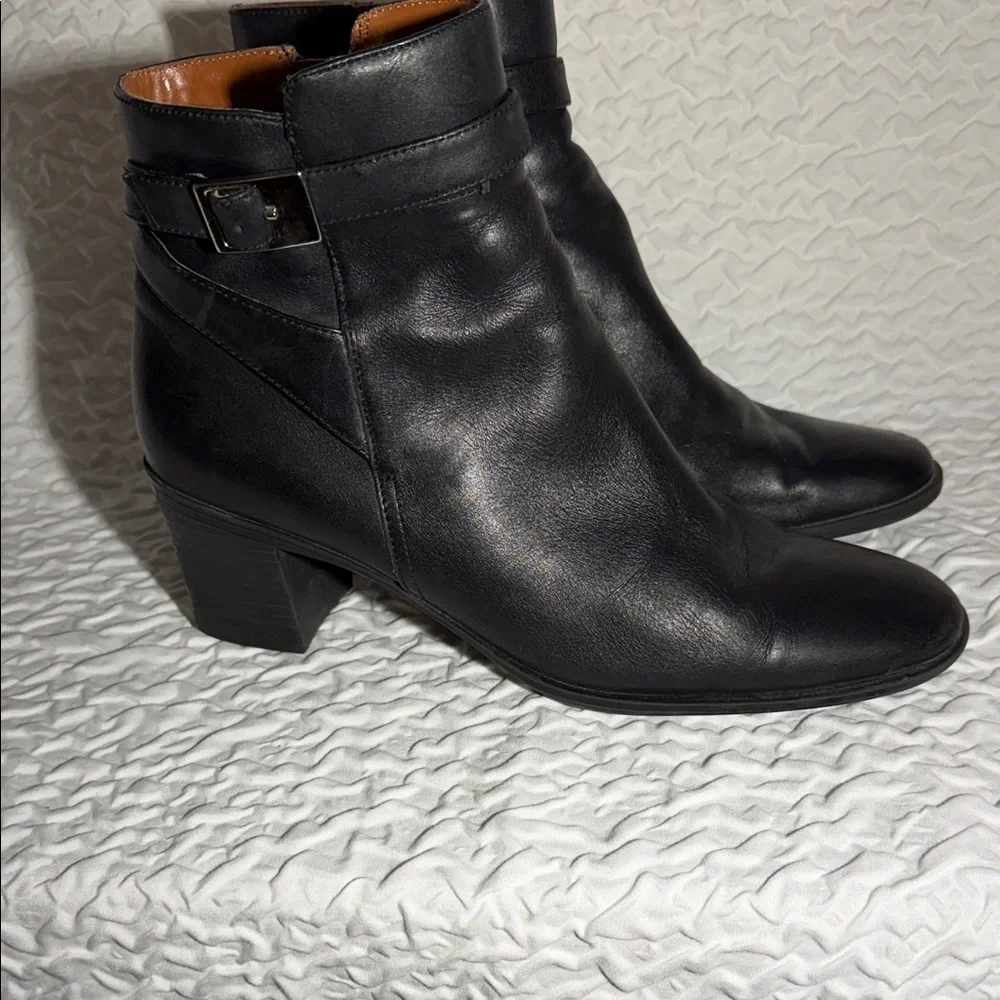 Predictions elegant black